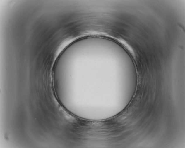 X0000096161287200801180843