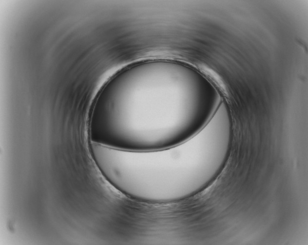 X0000096161288200801180843