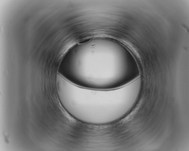X0000096161289200801180843