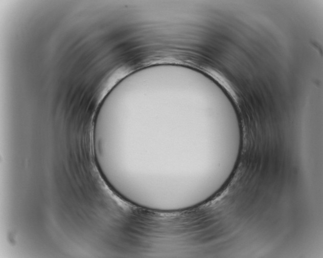X0000096161290200801180843