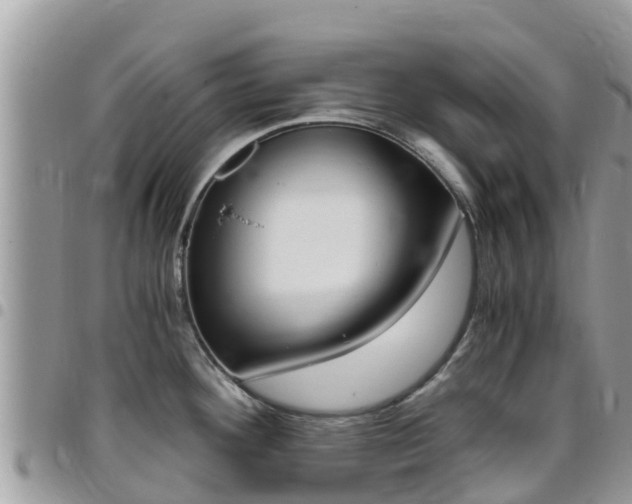 X0000096161292200801180843