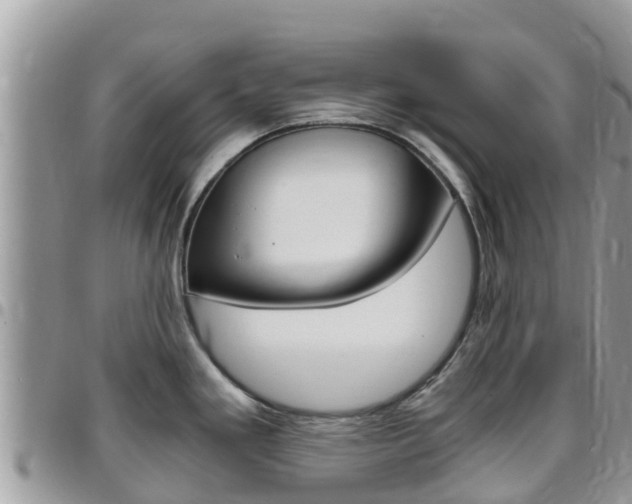 X0000096161293200801180843
