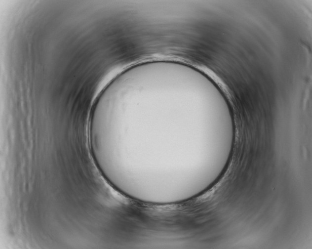 X0000096161294200801180843