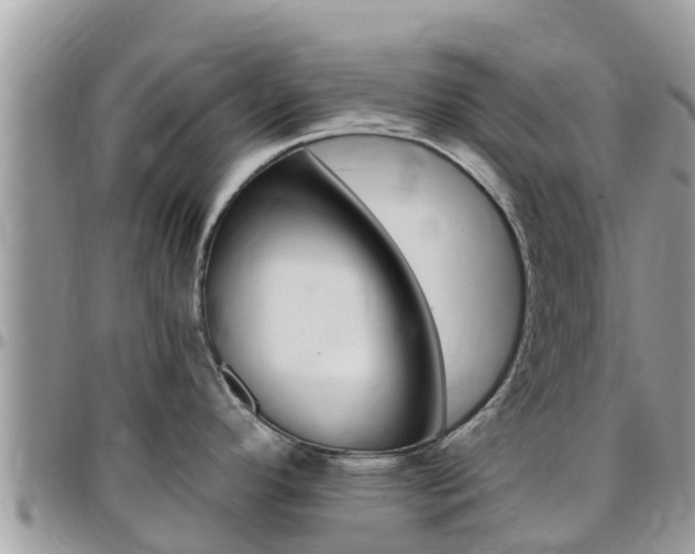 X0000096161296200801180843