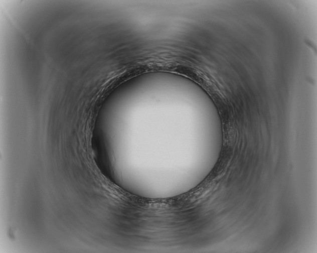X0000096161297200801180842