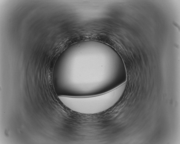 X0000096161298200801180842