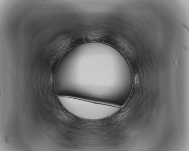 X0000096161299200801180842
