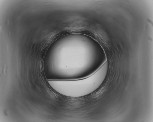 X0000096161300200801180842