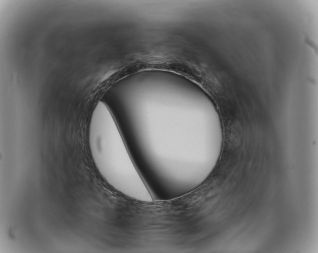 X0000096161301200801180842