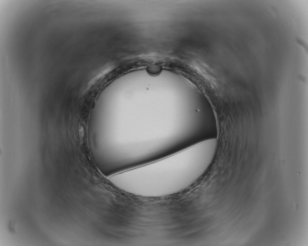 X0000096161302200801180842