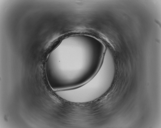 X0000096161304200801180842