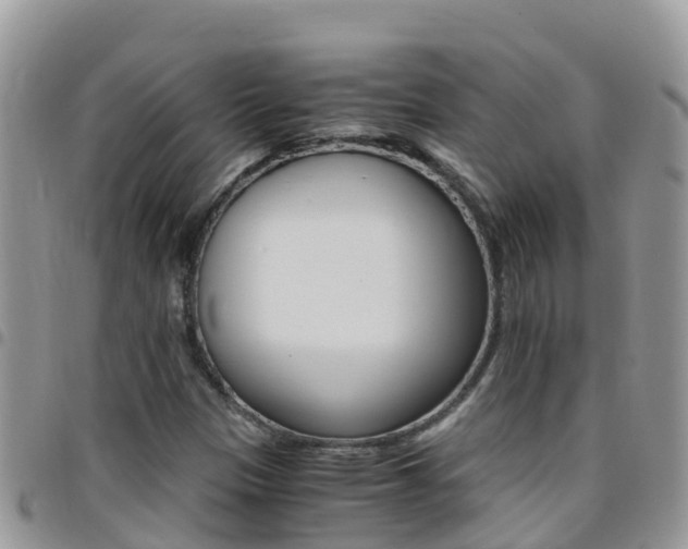 X0000096161305200801180842