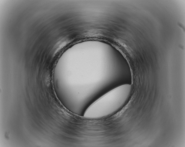 X0000096161306200801180842