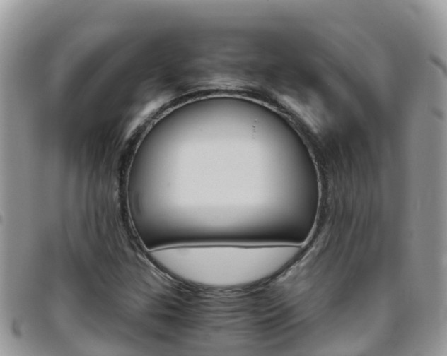 X0000096161307200801180842