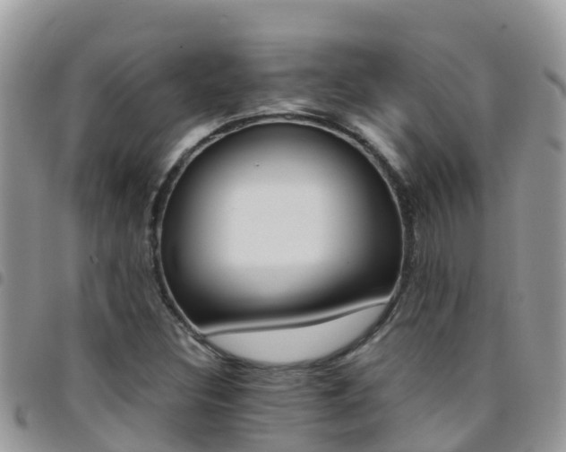 X0000096161308200801180842