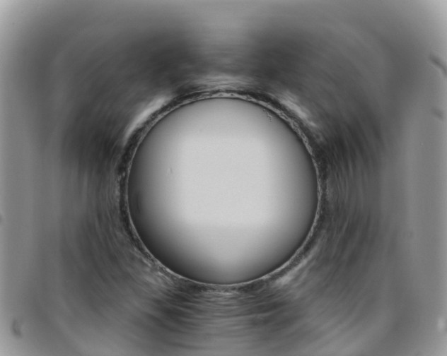 X0000096161309200801180842