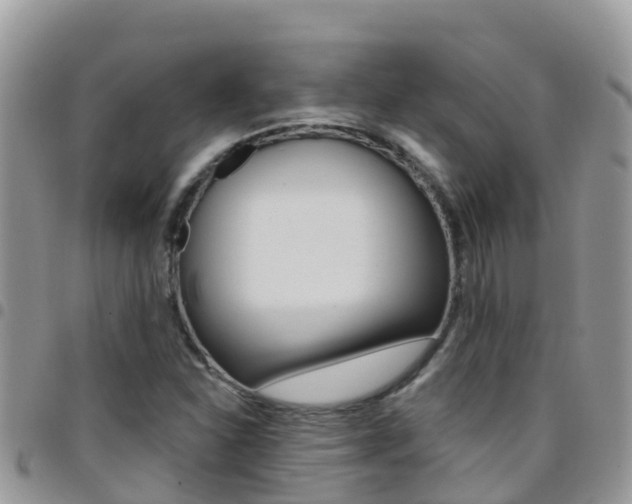 X0000096161310200801180842