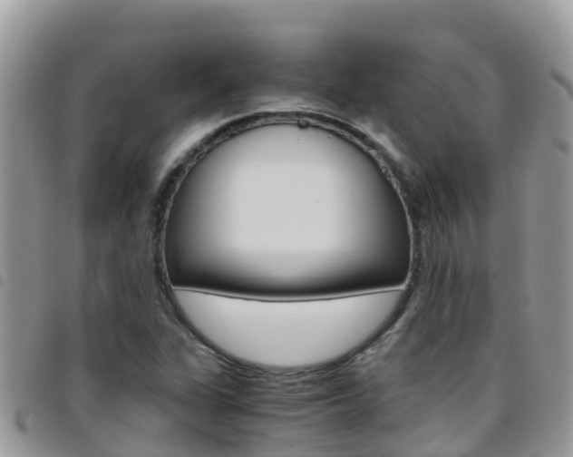 X0000096161311200801180842