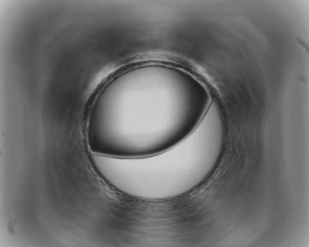 X0000096161312200801180842