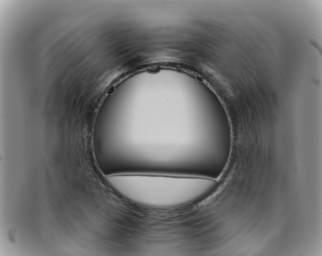 X0000096161313200801180842