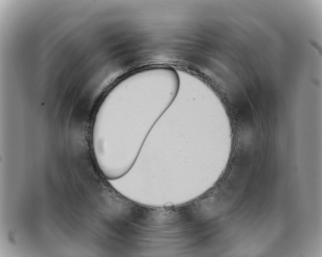 X0000096161314200801180842