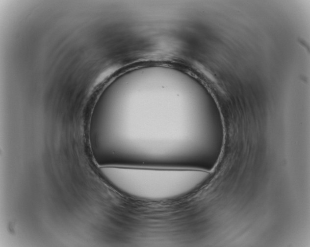 X0000096161315200801180842