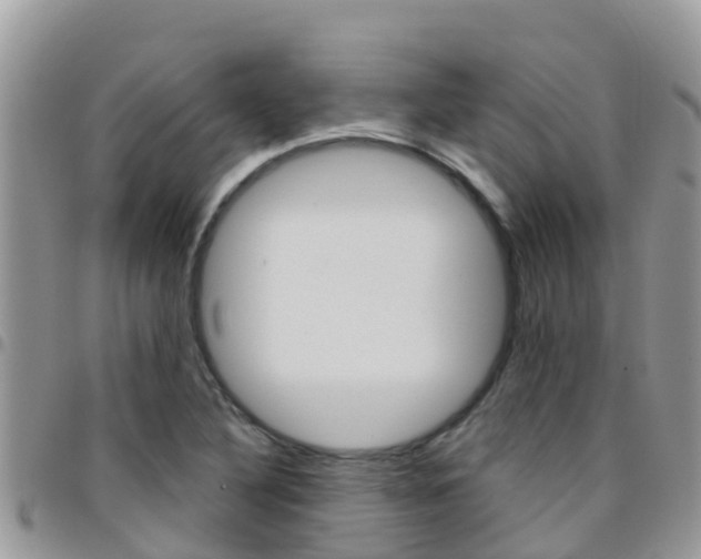 X0000096161316200801180843