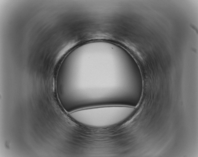 X0000096161317200801180843