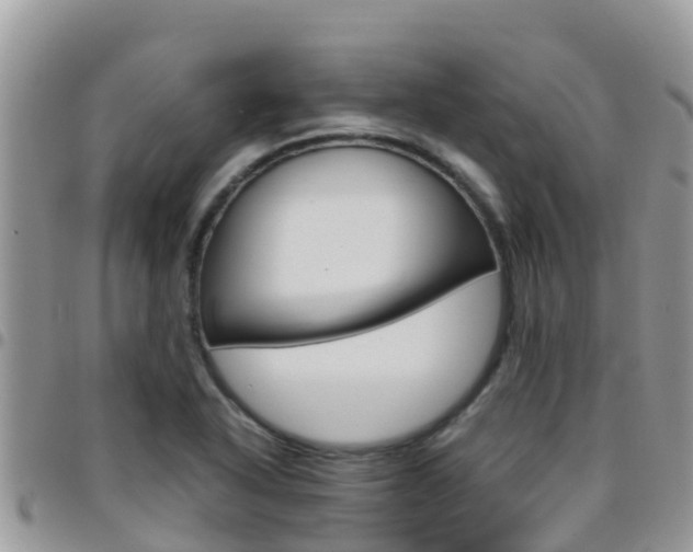 X0000096161318200801180843