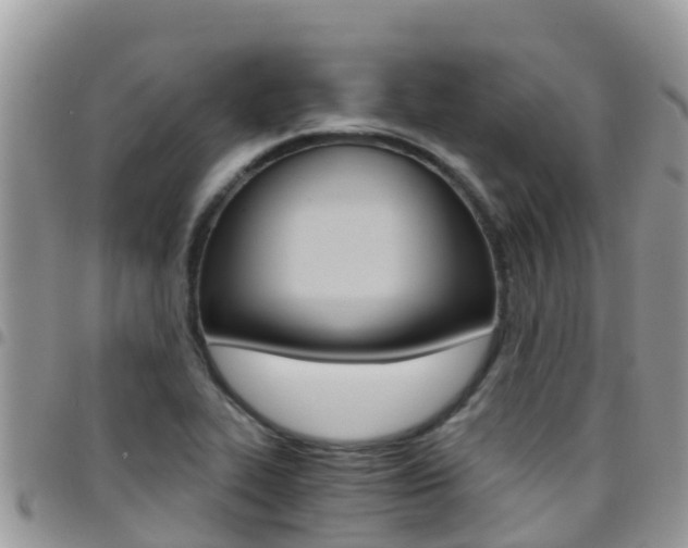 X0000096161319200801180843