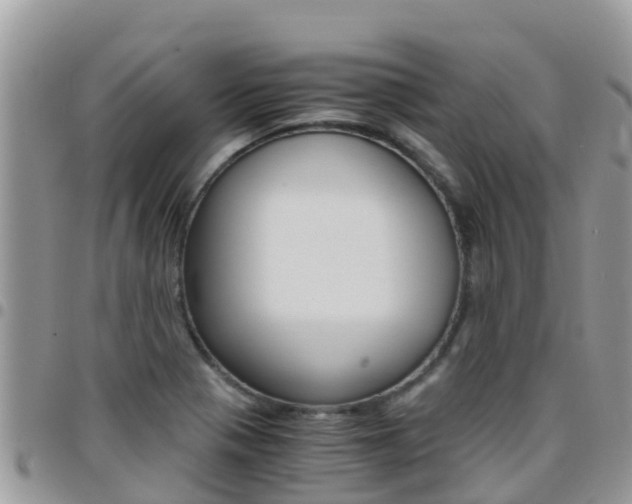 X0000096161321200801180843