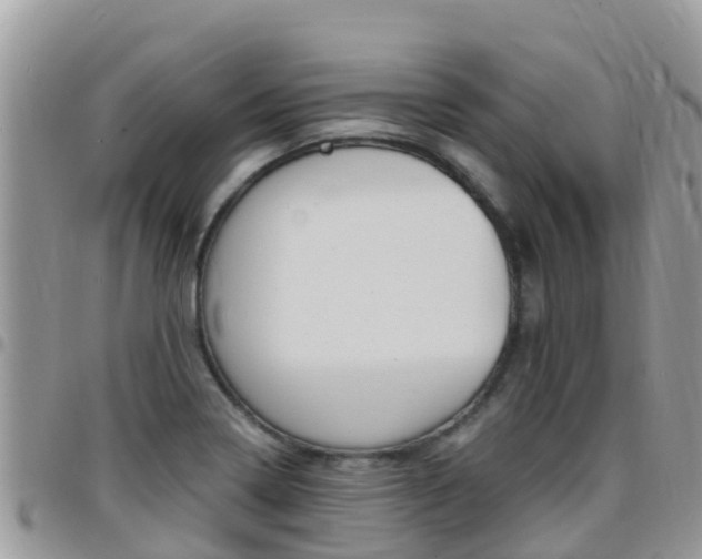 X0000096161322200801180843
