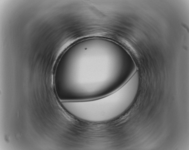 X0000096161324200801180843