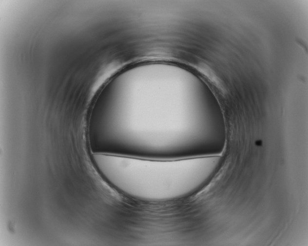 X0000096161325200801180843