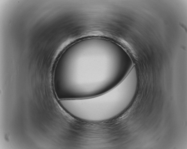 X0000096161326200801180843