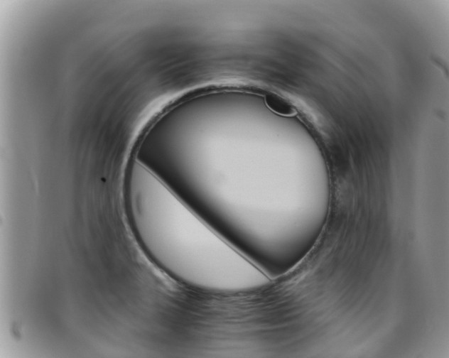 X0000096161327200801180843
