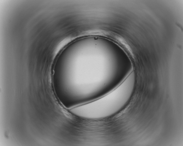 X0000096161328200801180843