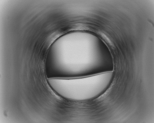 X0000096161329200801180843