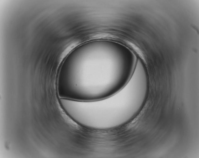 X0000096161330200801180843