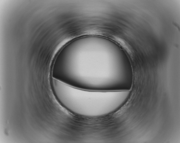 X0000096161331200801180843