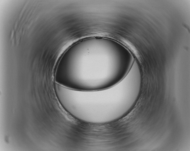X0000096161332200801180843