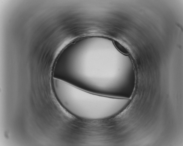 X0000096161333200801180843