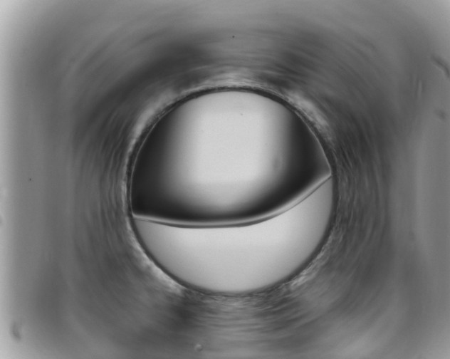 X0000096161334200801180843