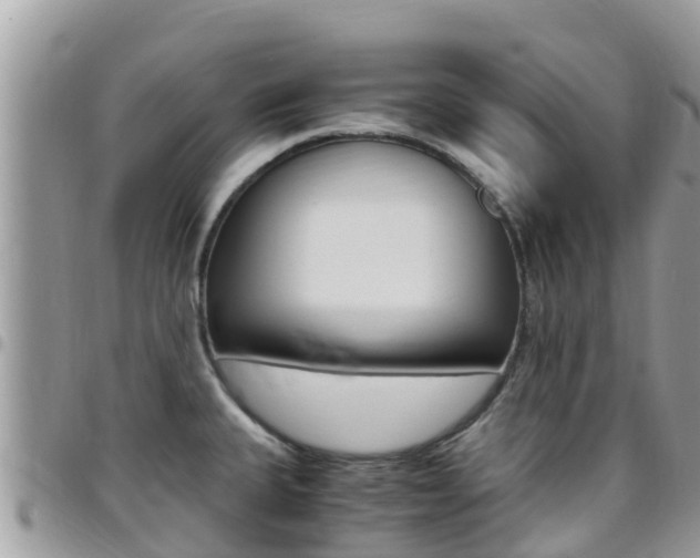 X0000096161335200801180843
