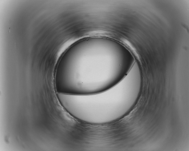 X0000096161336200801180843