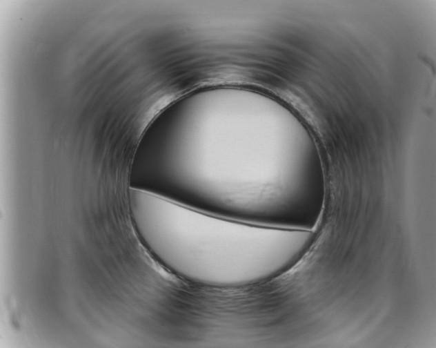 X0000096161337200801180843