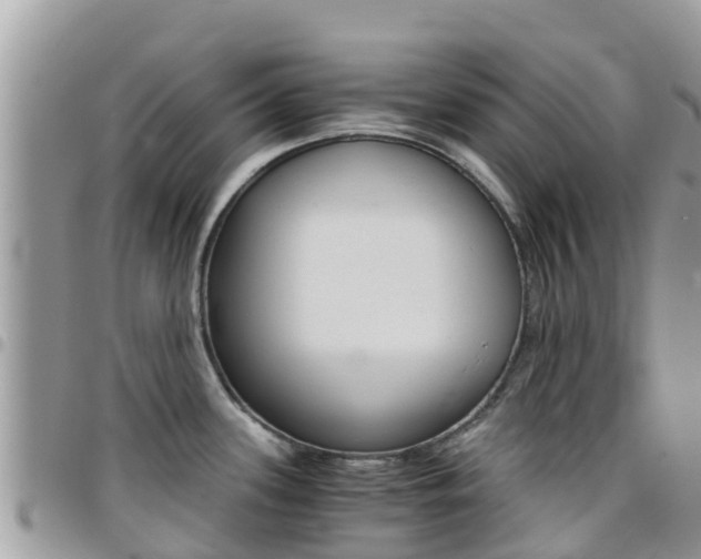 X0000096161339200801180843