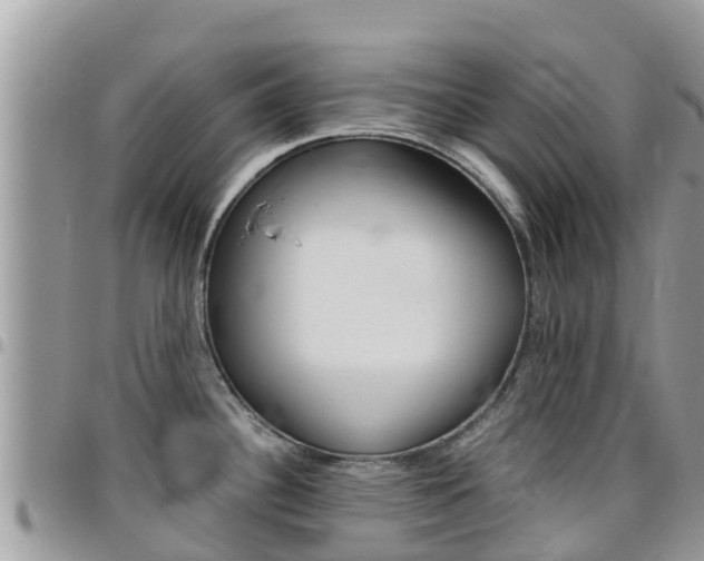 X0000096161340200801180843