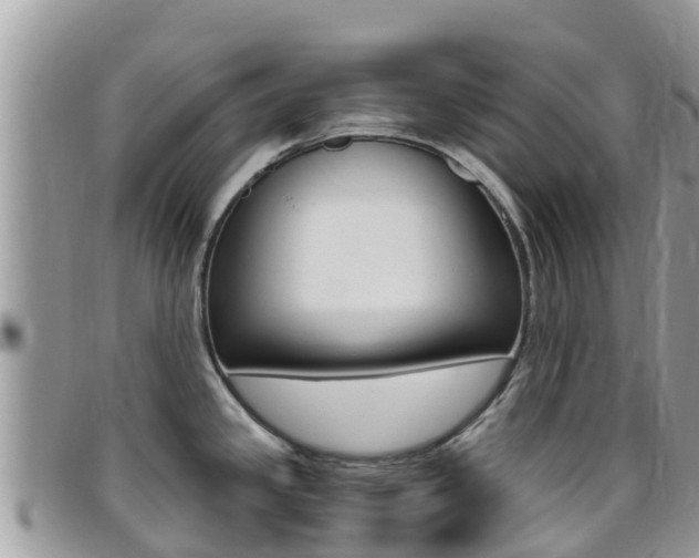 X0000096161341200801180843
