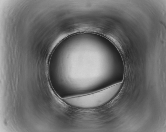 X0000096161342200801180843